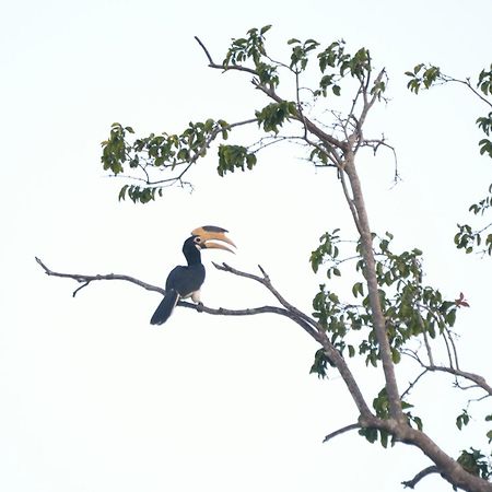 Pelican View Cottages Катарагама Экстерьер фото