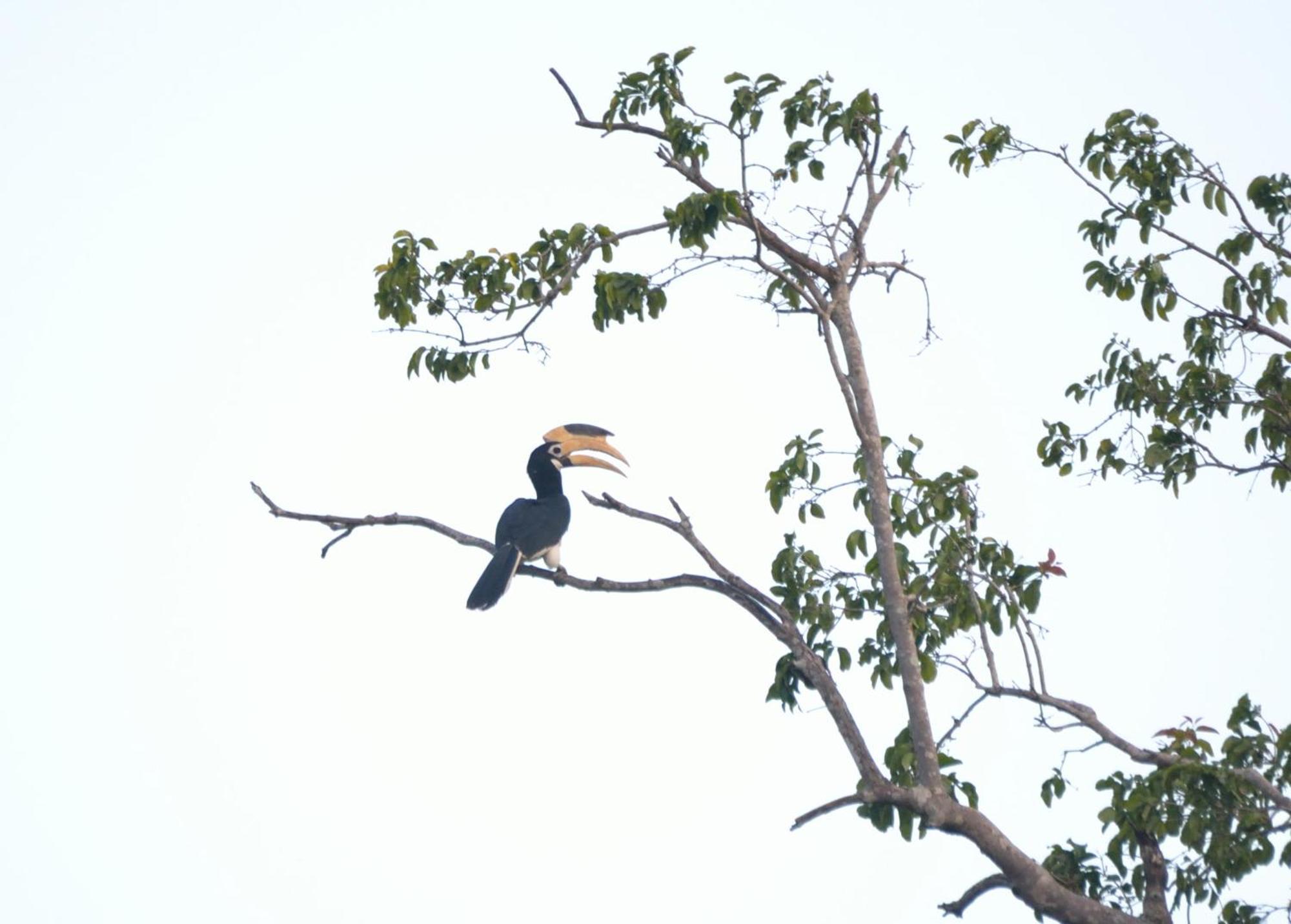Pelican View Cottages Катарагама Экстерьер фото